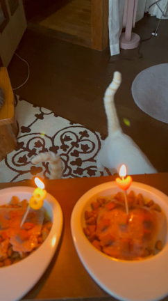 いなり大福のお誕生日の記事動画