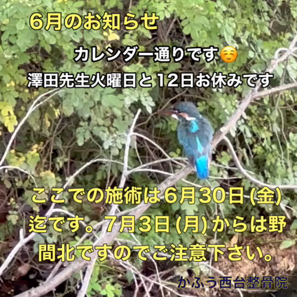 6月のお知らせの記事動画