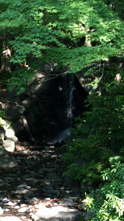雨の恵み大地大喜びだよ(*^^*)心斎橋出演しますの記事動画