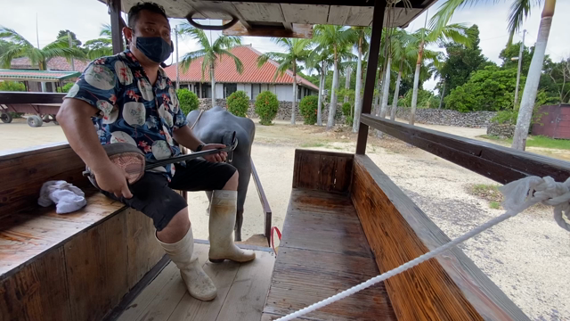 石垣島3日目竹富島の記事動画