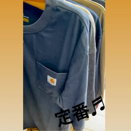 Carhartt  Teeの記事動画
