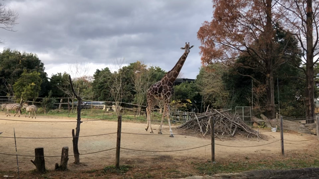 今日はいい風呂の日 だそうですの記事動画