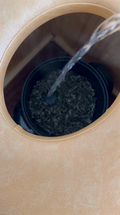 今回のお色味の記事動画