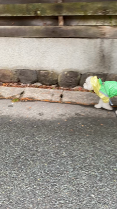 干支の龍のバージョンアップの記事動画