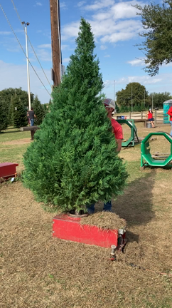 クリスマスツリー。ひと狩り行こうぜ！！！の記事動画