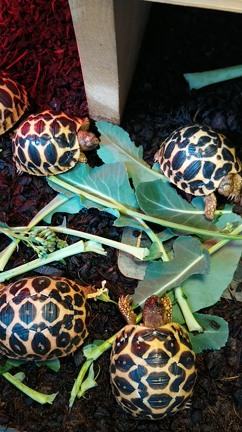 時短営業のお知らせの記事動画