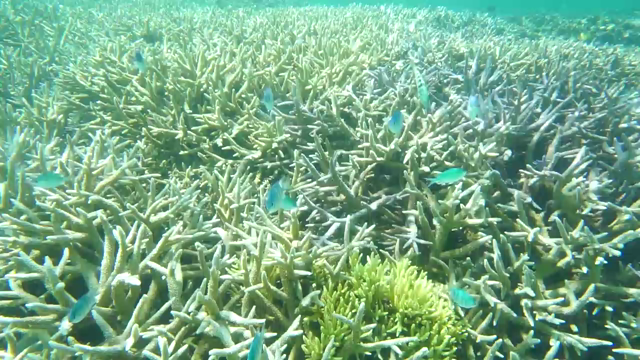 暑い！涼みの動画とテレビでの肩の特集 （肩腱板断裂闘病記 -84-）の記事動画