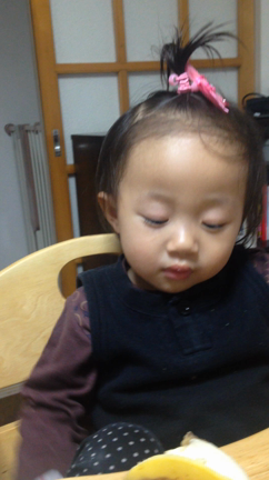 写真の記事動画