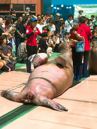 ♡真夏のOne Day Trip♡の記事動画