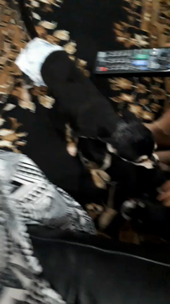 “まひる”正式譲渡決定！の記事動画