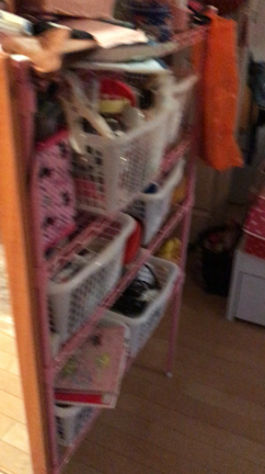 【片づけサポート】レポート①の記事動画