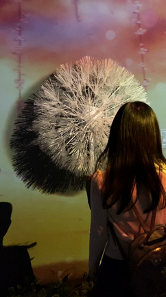 日本橋で妖精体験してきました！～FLOWERS BY NAKED2020～の記事動画