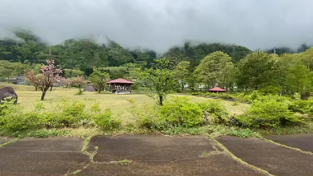 週末　穴場　の記事動画