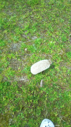 思い出動画3の記事動画