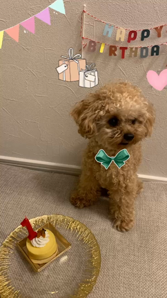 ハッピーバースデーの記事動画