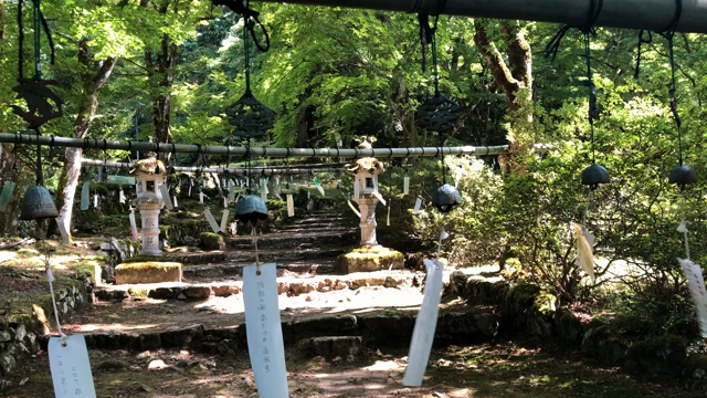 今日という1日の記事動画