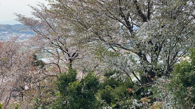 未来を楽しむために必要なことの記事動画