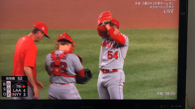 幸せ探し❤️の記事動画