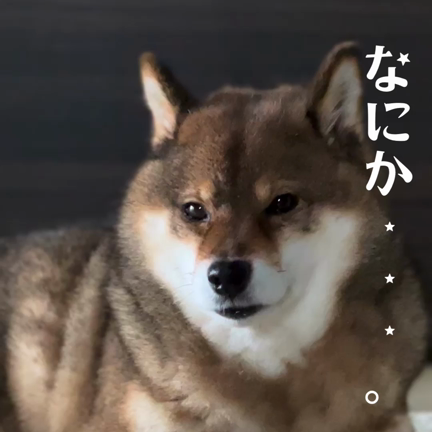 コソコソお菓子を食べていると…。の記事動画