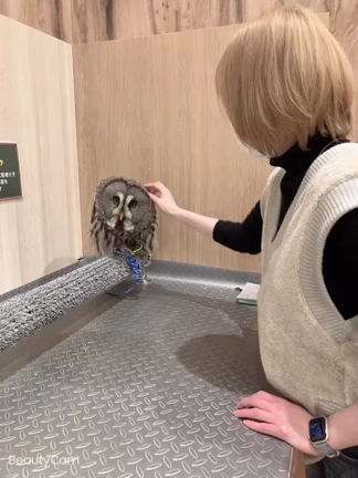 動物カフェ行ってきた時の♥️の記事動画
