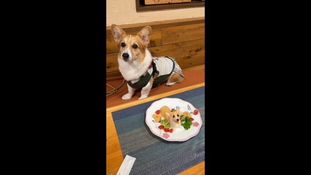 8歳のお誕生日（夕食編）の記事動画