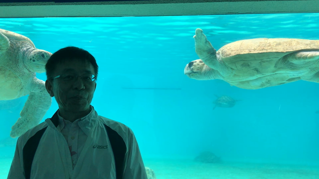 ちょっと沖縄まで②の記事動画