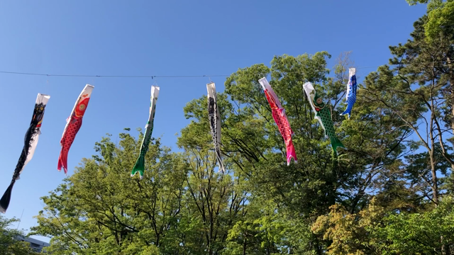 【連休中にやってみよう！】の記事動画