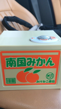 効果のないことに時間もお金も費やしたくないの記事動画