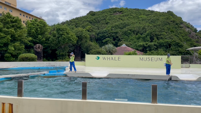 速玉大社　2/2の記事動画