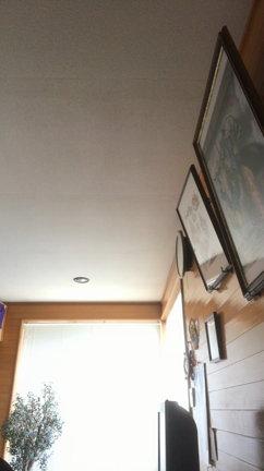 LAST SONG unplugged -GACKT-の記事動画