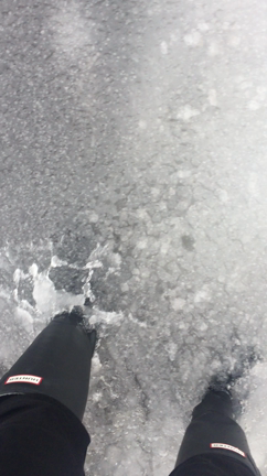 #本日お休みさせて頂きますの記事動画