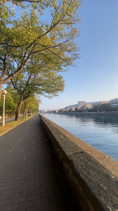 paseoの記事動画