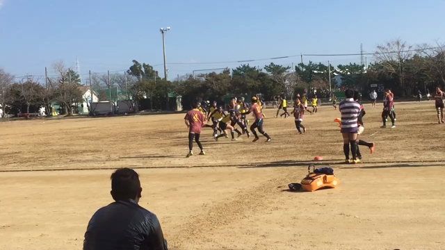 初詣、ラグビー初蹴り、新年会の記事動画