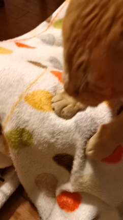 舞台『長い長い恋の物語』始まります^ ^の記事動画