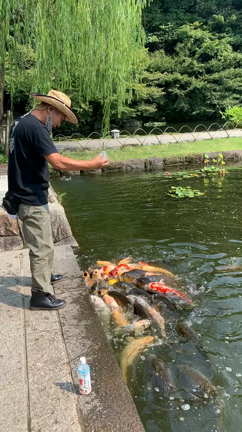 こじ～んさんと行く 漫遊のお散歩 第二季節「た」♪の記事動画