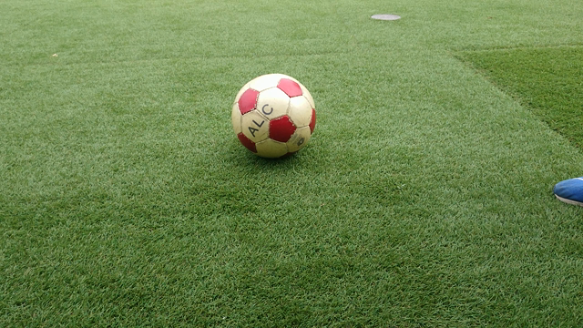 自宅でできるトレーニング②の記事動画