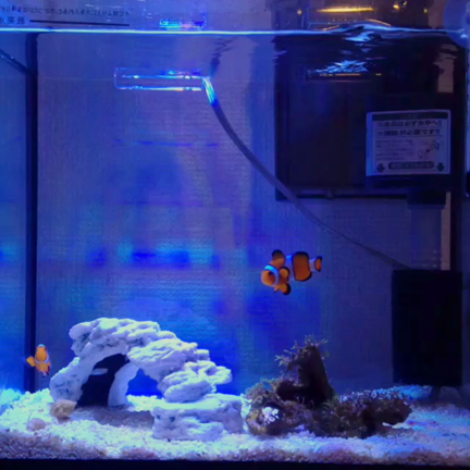 美容外科とエステ、どちらを選べばいい？その2の記事動画