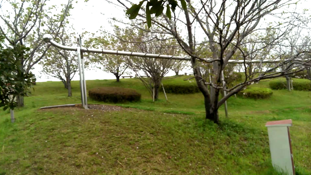 ■花見 in 高知の記事動画