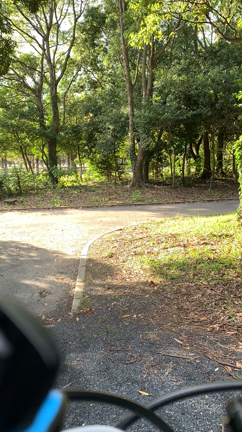 濃い週末の記事動画