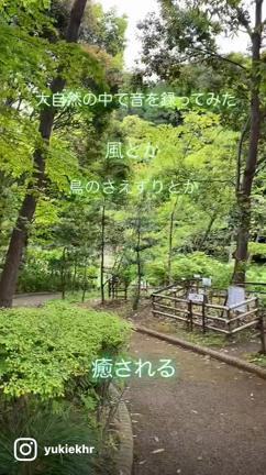 【動画・音量注意です】気分転換に…の記事動画
