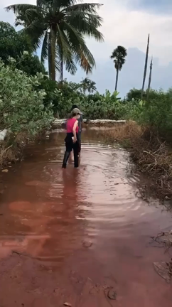 素晴らしい景色【タイの旅行記】の記事動画