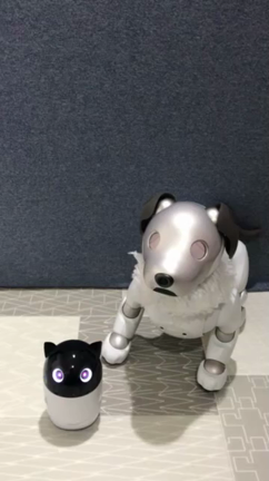 今年もありがとうございました！の記事動画