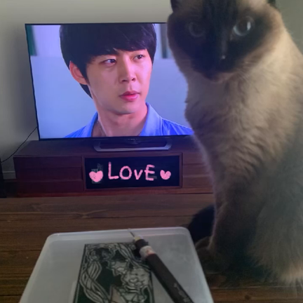 お久しぶりのブログです‼︎の記事動画