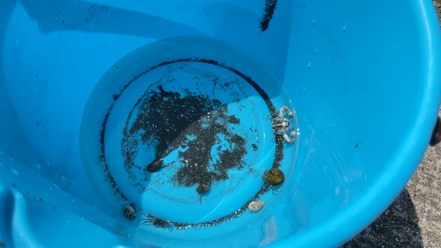 【潮干狩り⑅◡̈*】今年も食育♡の記事動画