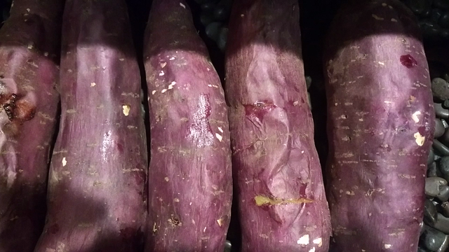 コレ絶対うまいやつ～♪の記事動画