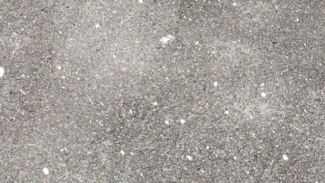 春の雪が教えてくれたことの記事動画