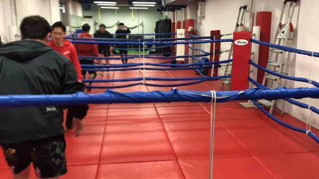 自己管理の記事動画