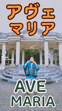 アンデス音楽の記事動画