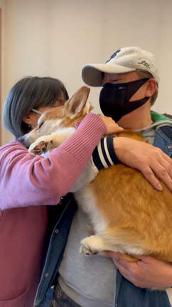 ミリーありがとうの記事動画