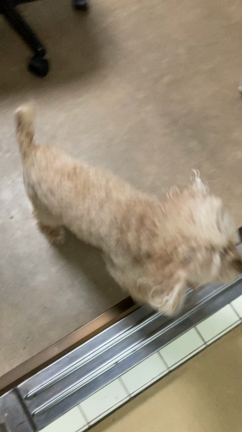 みんな元気ですの記事動画